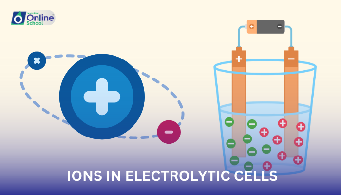Lesson 10: Movement of Ions in Electrolytic Cells